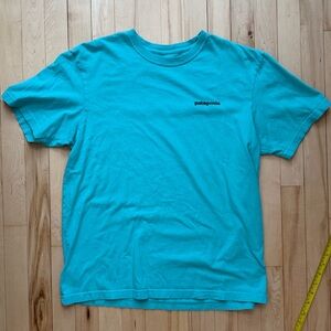 Patagonia Teal Crew Neck Shirt (men’s-medium)